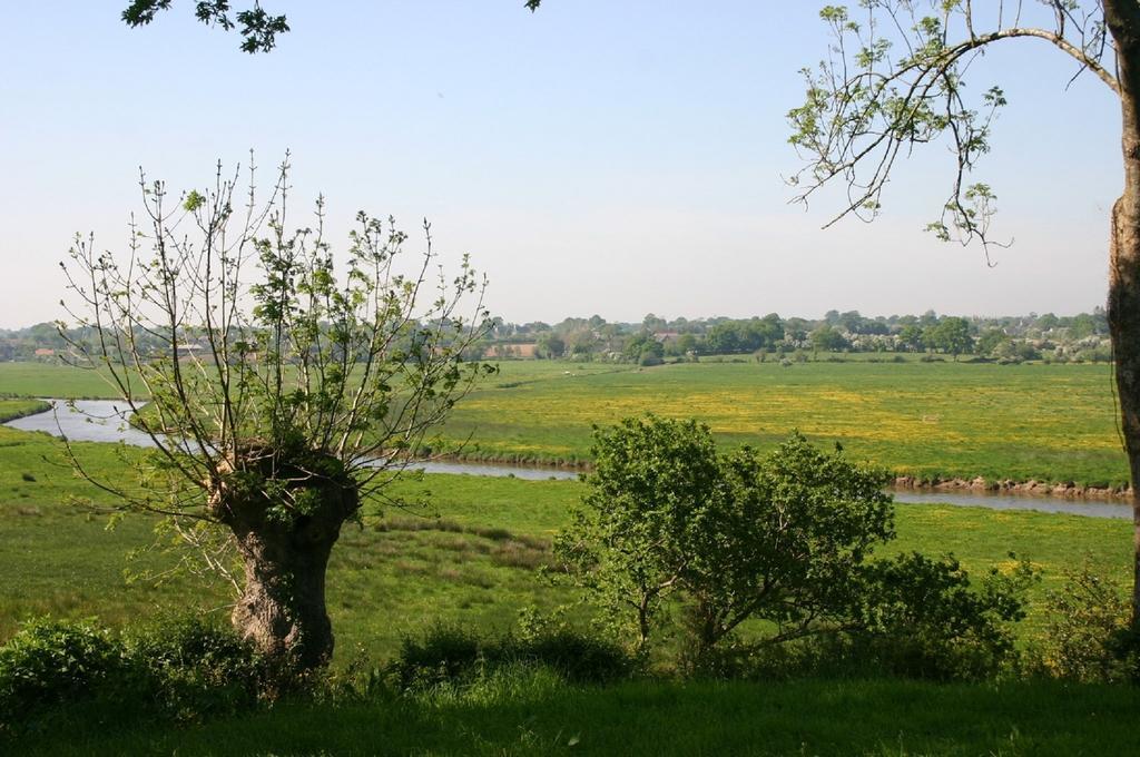 Gite Marguerite Les Moitiers-en-Bauptois Zewnętrze zdjęcie